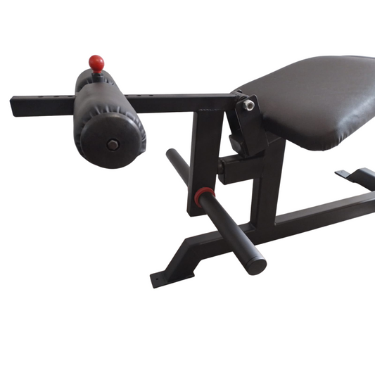 Máquina femoral acostado