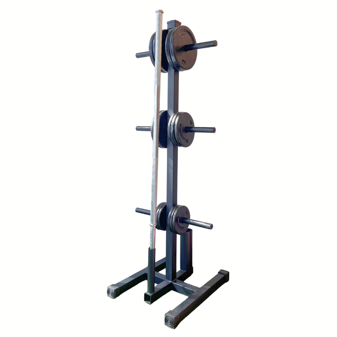 Rack pro barras y discos – GymaholicMx